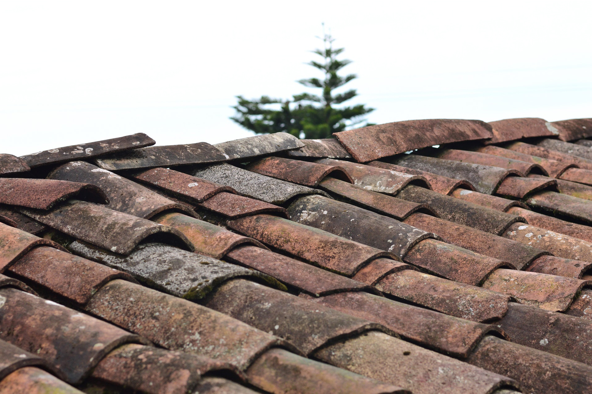 Roof Inspection Services